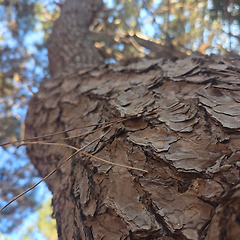 오래 남는 것에 대하여 썸네일