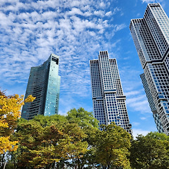 브랜드는 누군가의 얼굴을 닮아간다 썸네일