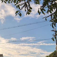 말하지 않으면 모른다 썸네일