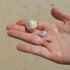 잃고 나니 비로소 보인 것들 썸네일