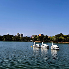 삶의 시간은 명료하게 안 흐른다 썸네일