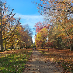 일본회사의 회계사입니다 썸네일