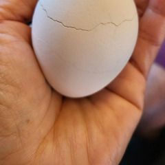 삶의 방황을 멈추는 법 썸네일