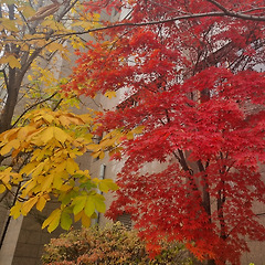 [서평]『‘우리’라는 신화의 폭력』(2) 썸네일