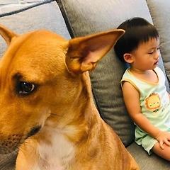 아, 바빠 죽겠는데 조직문화 그거 나중에 하면 안돼요? 썸네일