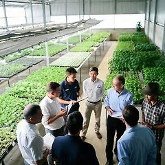 농업 생산자 조직화에 대한 현실적 성찰 썸네일