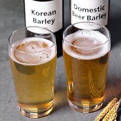 국산 맥주, 국산 보리로 만들 수 없을까 썸네일