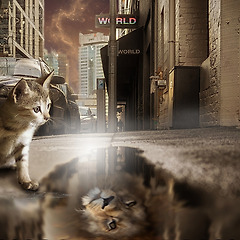 [성공한 사람의 실패에 주목하지 마라: 당신이 주목할  썸네일