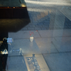 외로운 꽃  썸네일