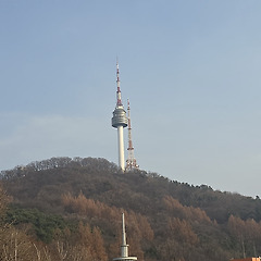 남산의 새 숲길 썸네일