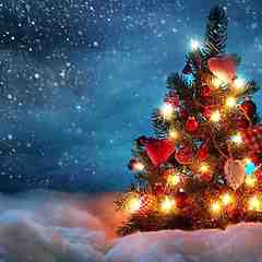 Holiday Shutdown