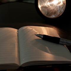 사과가 진심이었다면 썸네일