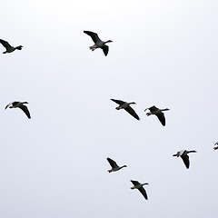 누구의 허락도 필요하지 않은 썸네일