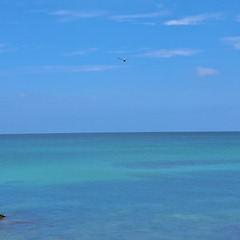 양자역학과 마음코칭의 만남 썸네일