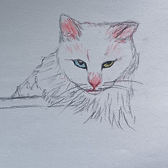 재잘재잘 썸네일