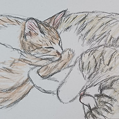 다 이유가 있었다 썸네일