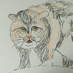 잔망스러운 하루 썸네일