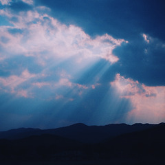 사랑은 그렇게도 잔인하다. 썸네일