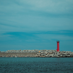 사랑은 그렇게도 잔인하다 썸네일