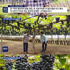 1 상실에 대처하는 우리들의 자세