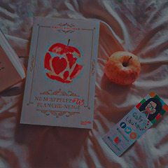 백설공주라고 부르지 마, 2.0 시대 문학 썸네일