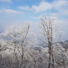 오늘 가족 중 누군가 갑자기 죽는다면 썸네일