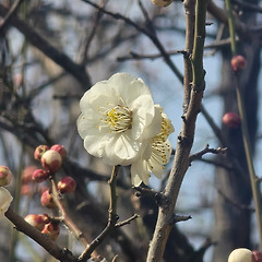 사랑보다 위엄 썸네일