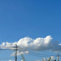 그래그래 썸네일