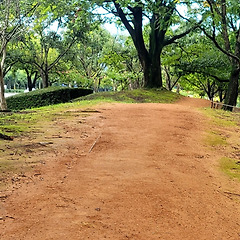 16주 차, 용서할 수 없다고 느꼈던 사람 썸네일