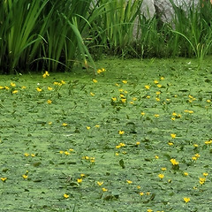 17주 차, 나를 지탱해 준 관계의 힘 썸네일