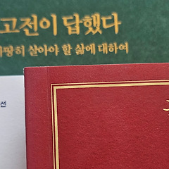 짙은 에메랄드그린에 취하여 썸네일