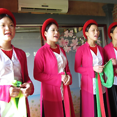 꽃잎의 강 썸네일