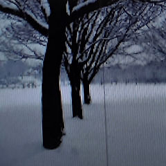 겨울산이 내게 들려준 말 썸네일