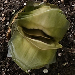 내가 늦게 알아차린 죽음 썸네일