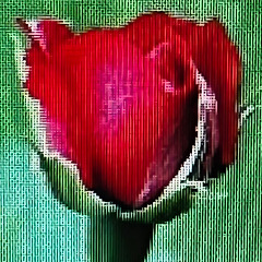 후회했던 삶을 뒤돌아보니 썸네일