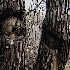 상처는 오래간다 썸네일