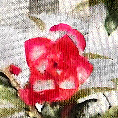 존재에 대한 늦은 승인 썸네일