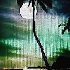 빛을 알아보지 못한 밤 썸네일