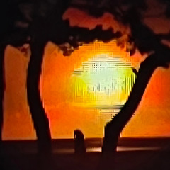 바다를 품은 노을 썸네일