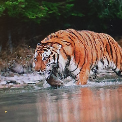 마지막 정열 나의 삶 의 아포리아( aporia ) 썸네일