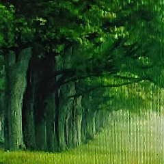 오래 머물지 못한 썸네일