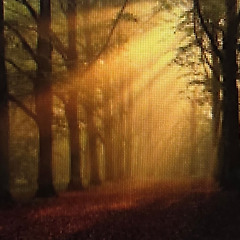 바람이 남긴 것들 썸네일