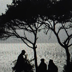 품위 있는 늙은이 썸네일