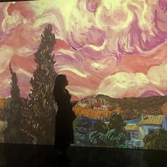 해외생활 허니문 나에게는 딱 1년! 썸네일