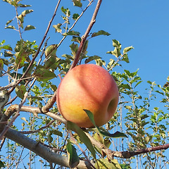 알아채면 좋은 나이 드는 증거 썸네일