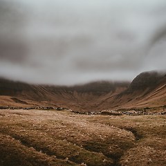책의 두번째 장 썸네일