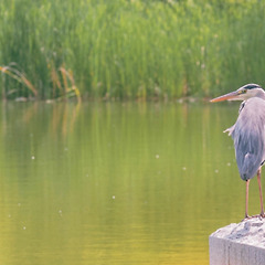 2 Day 지켜봐 주는 사랑 썸네일