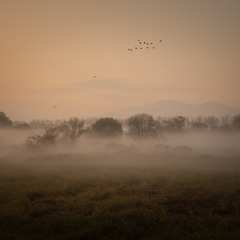 그래, 날자~ 썸네일