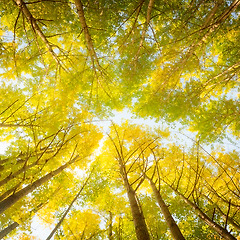 시작하며 썸네일