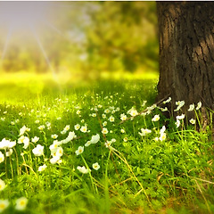 매일 읽고 쓰고 달립니다. 썸네일